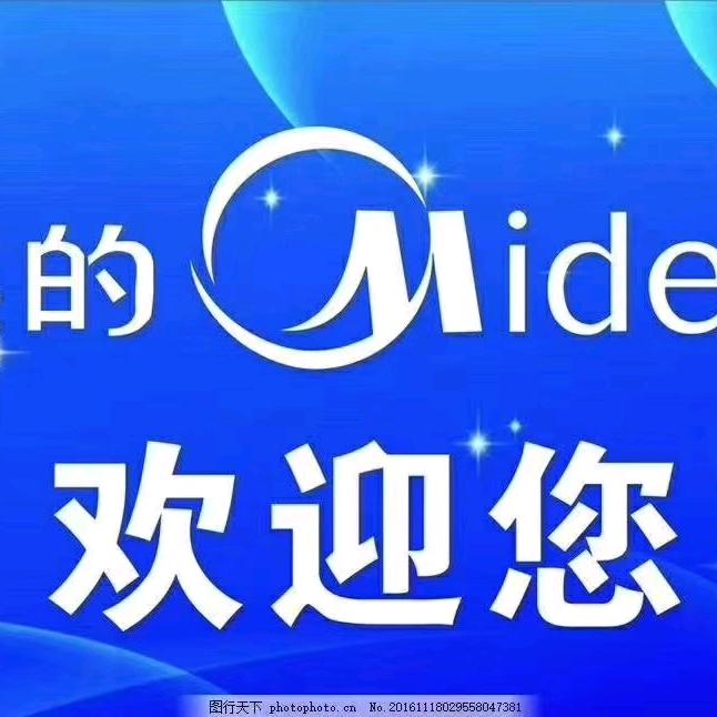 延津美的