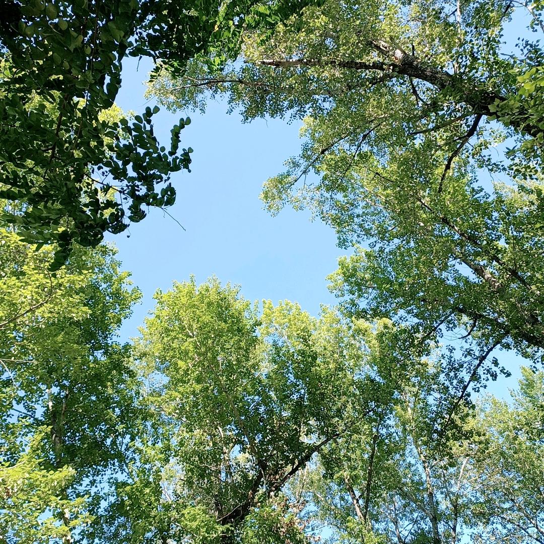 彩色星空