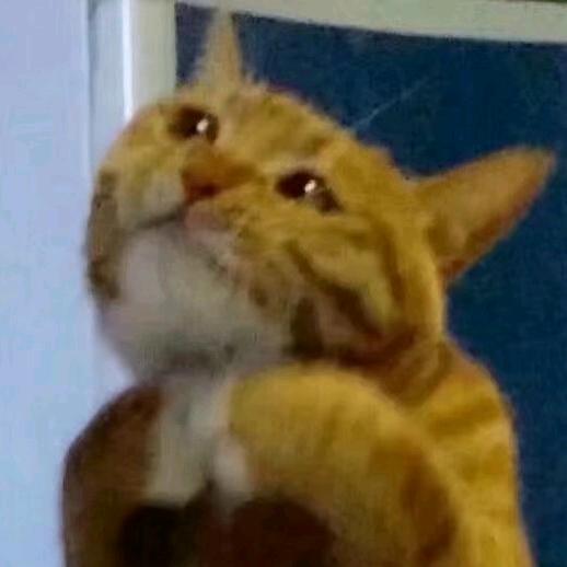 暴力抖音狠狠爱🌰