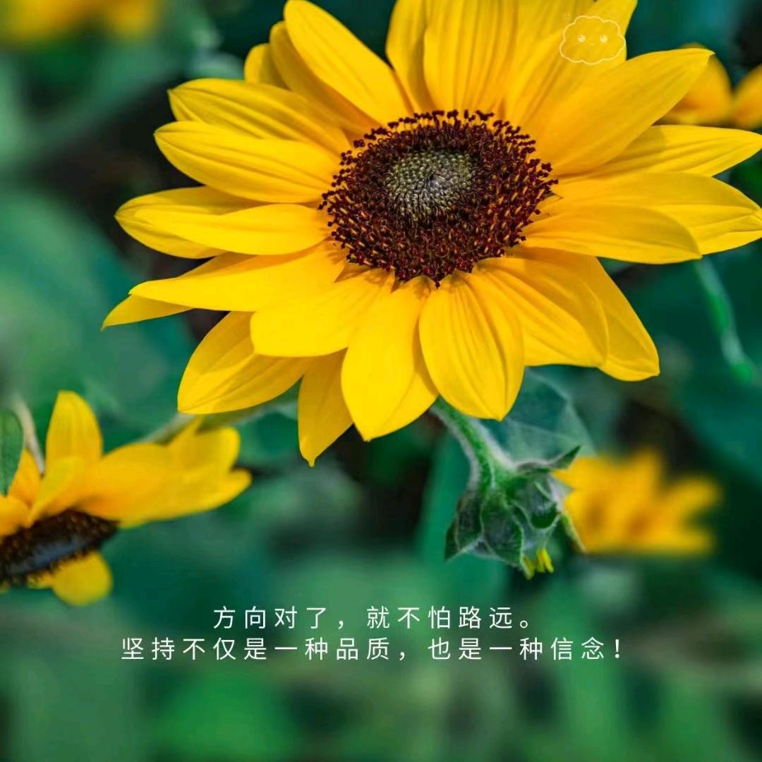 帆科记账公司