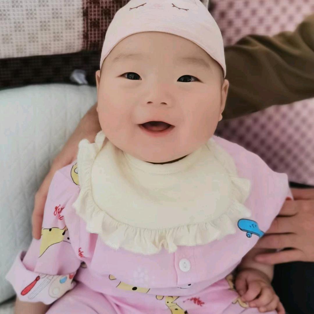 山茶花与百梅王