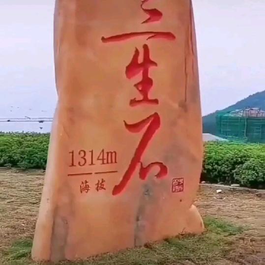 情圣