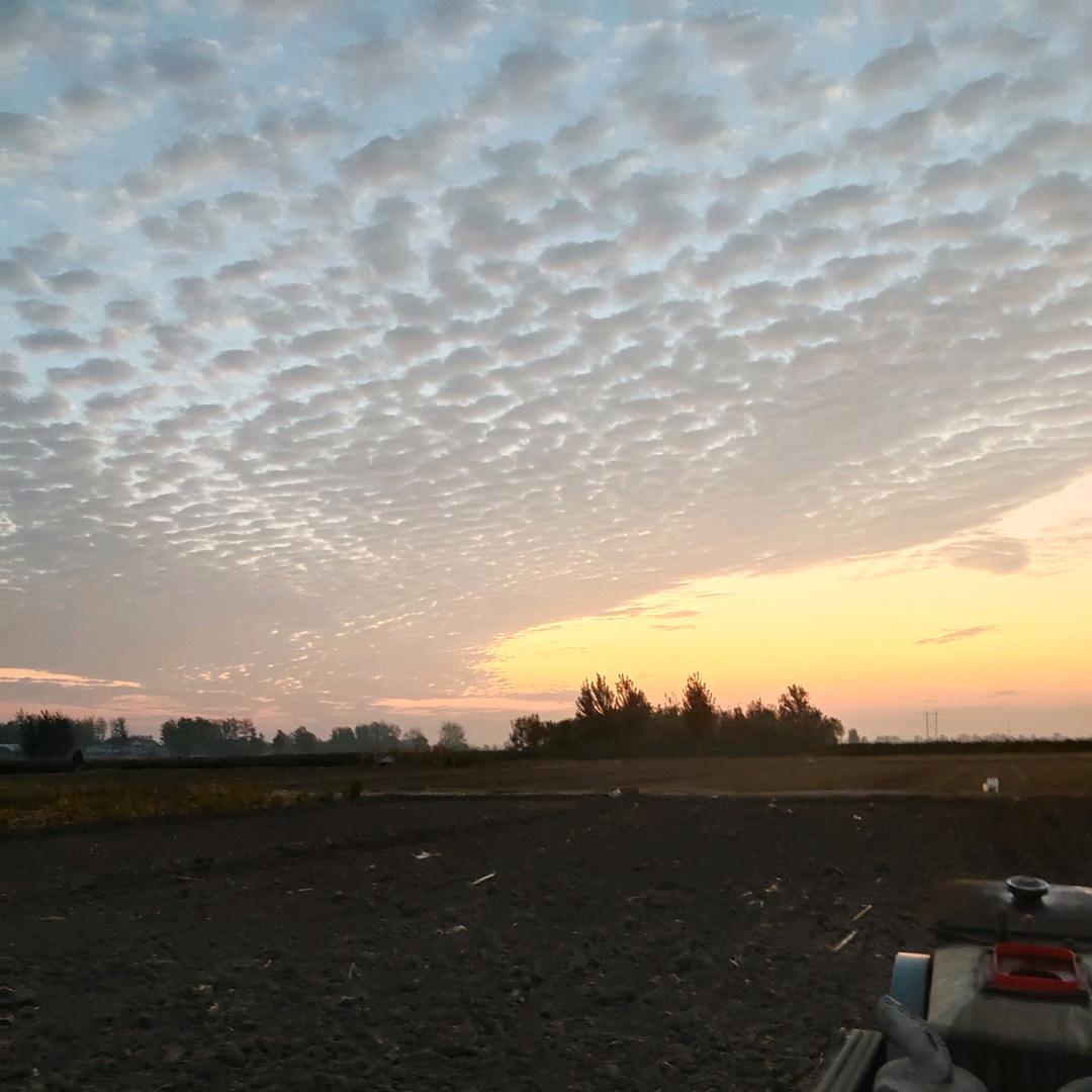 💞๓᭄你若成风1976♡ꦿ᭄