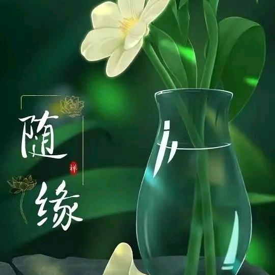 随缘🇨🇳🪖