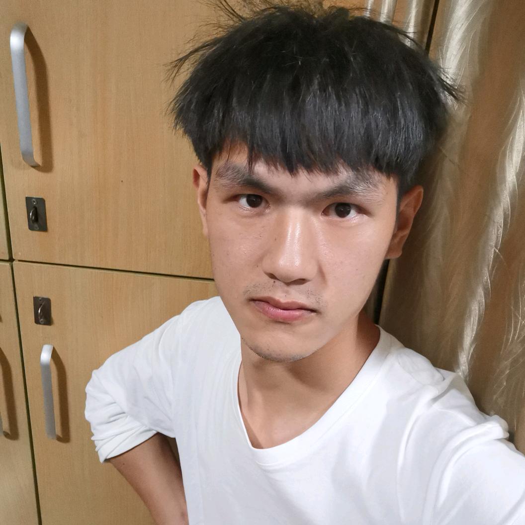 夕阳下的向日葵