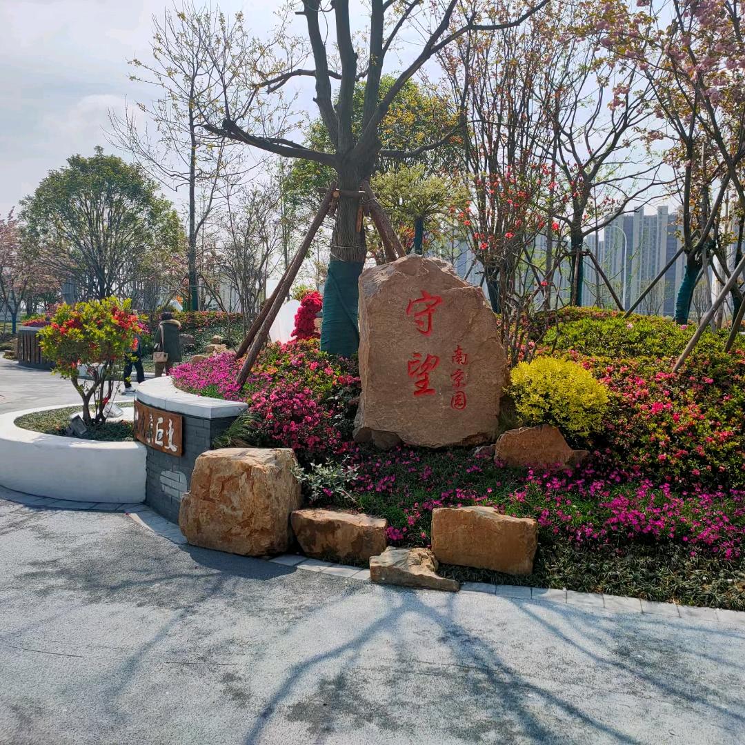 《漂洋过海来看你》。v