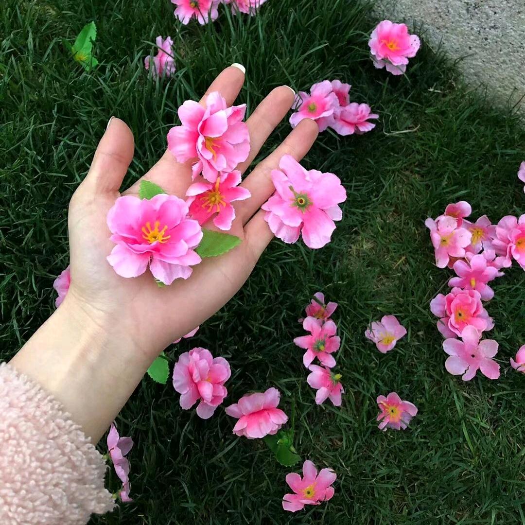 焱垚