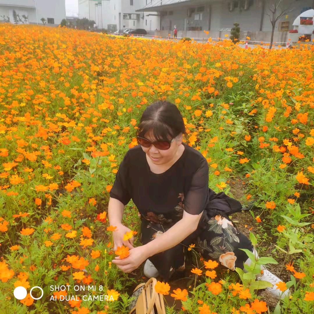 珍惜余生🍅