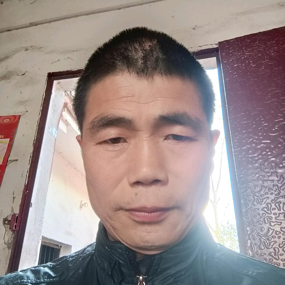 贺红雨