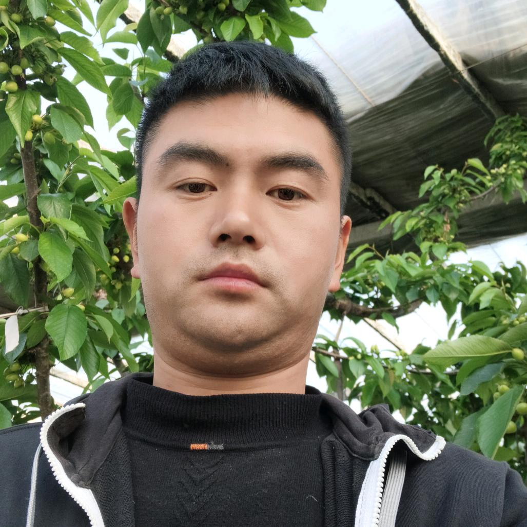 李😎直气壮👻