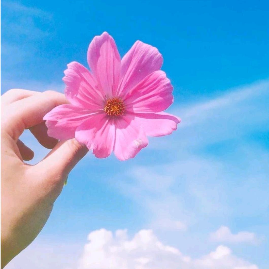 遇见，幸福💞（拒聊）