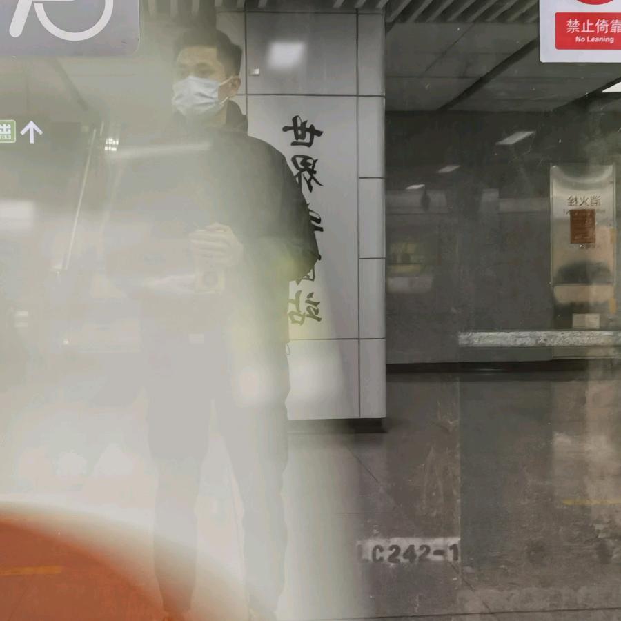像风来又去