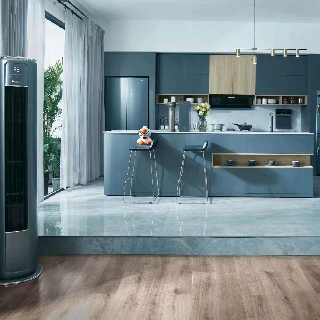 司选.翔林电器小天鹅 我在项城做家电代理