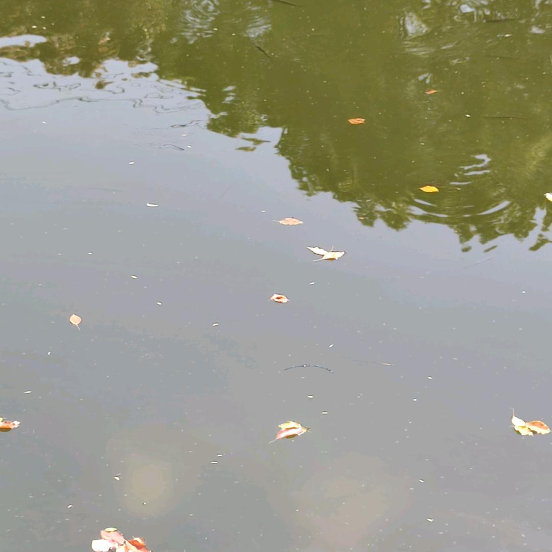 爱科学不睡觉