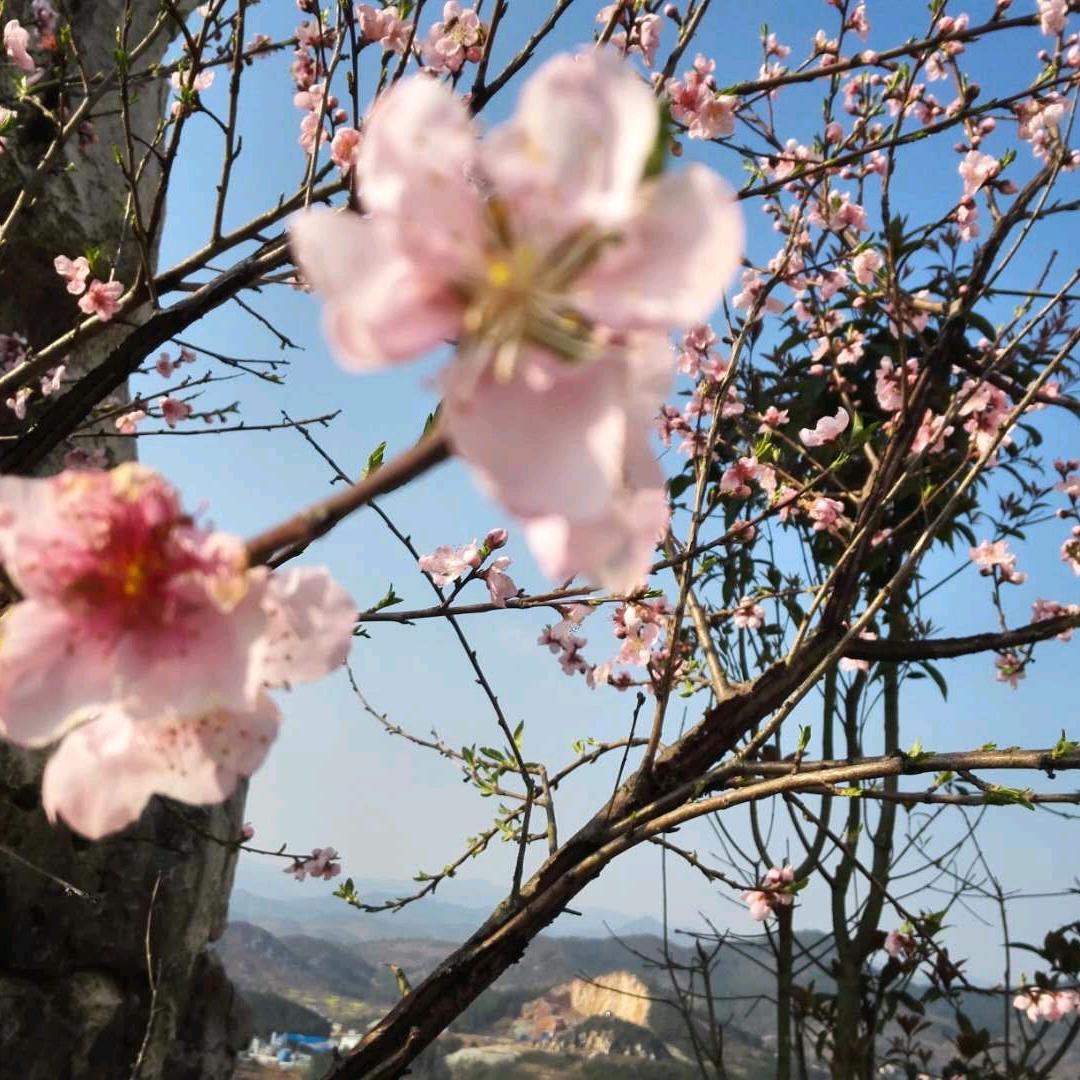 边城