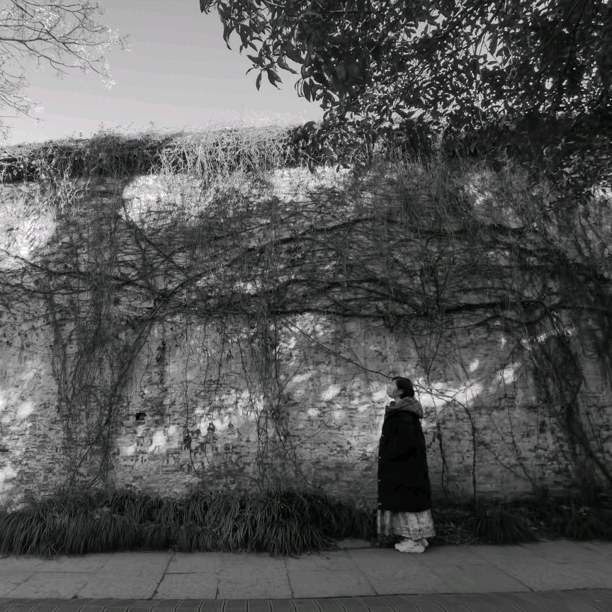 M狍月M（五巡仍在）