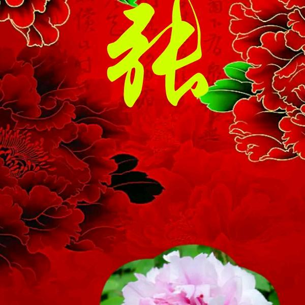 张长春