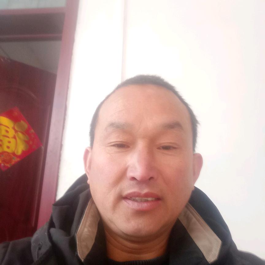 团子爷👴