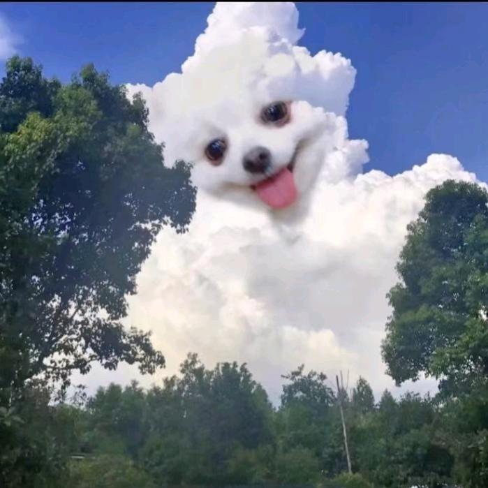 叶子🍃+耶耶耶耶