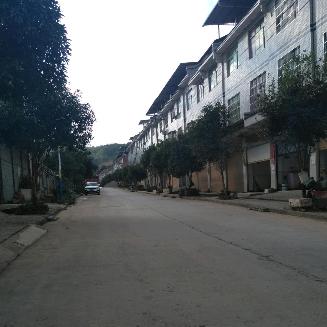 杨柳的那些事