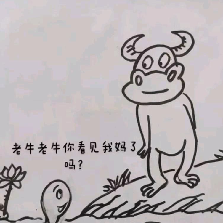 老牛的日常