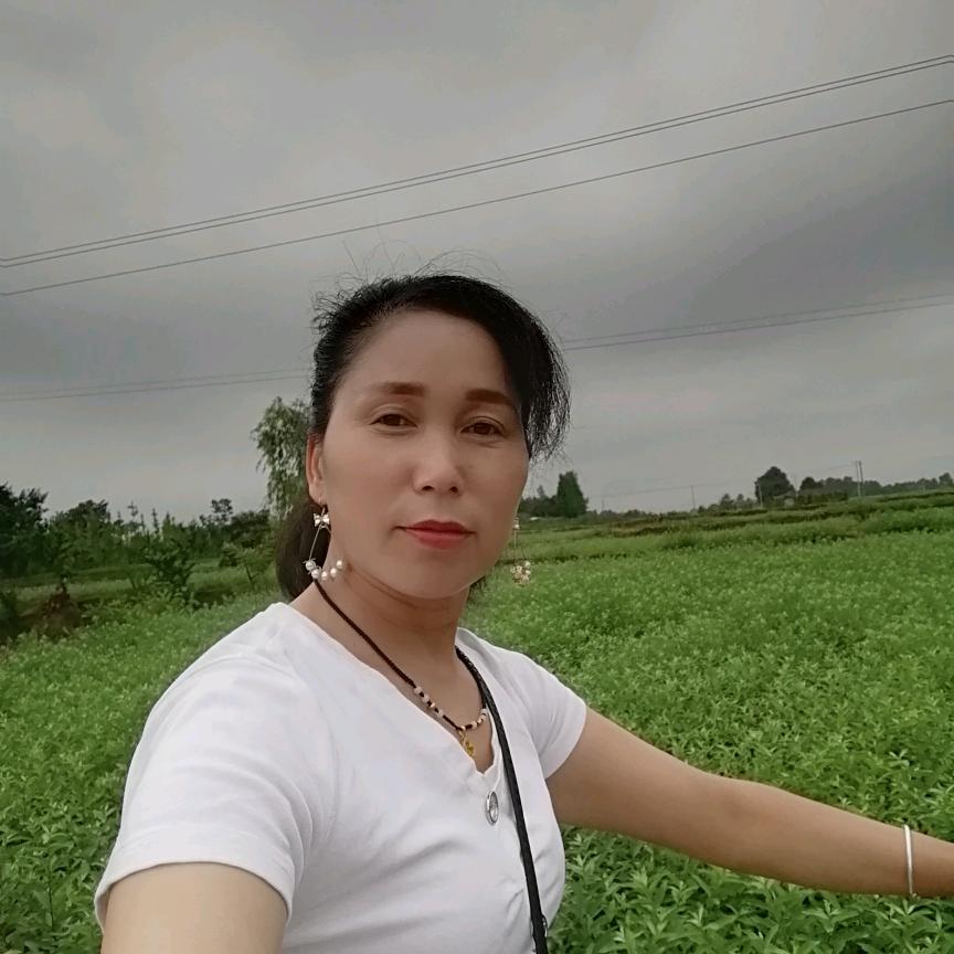 丽姐