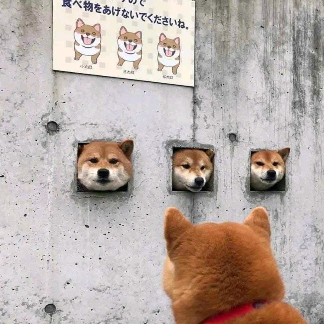 任性勿止