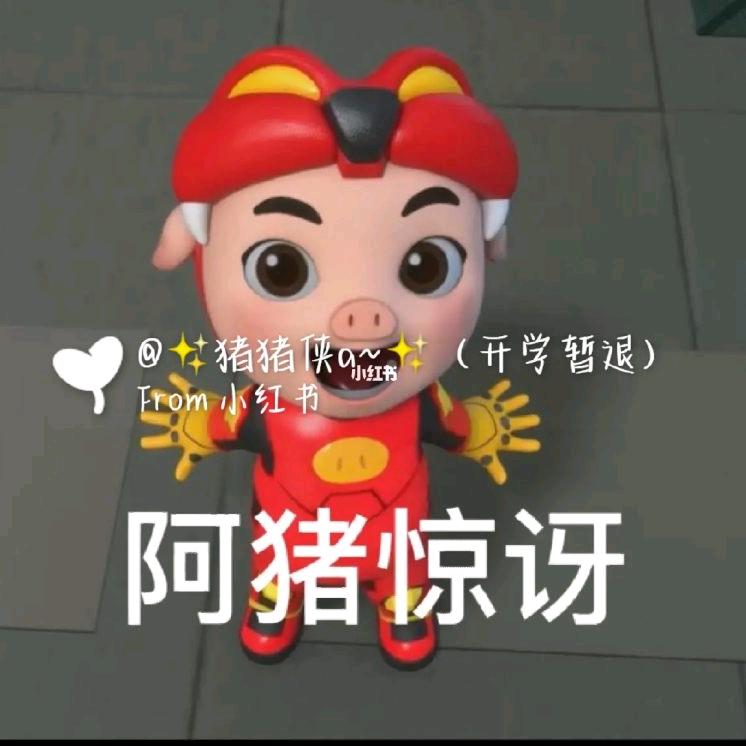 超级喜欢航猪
