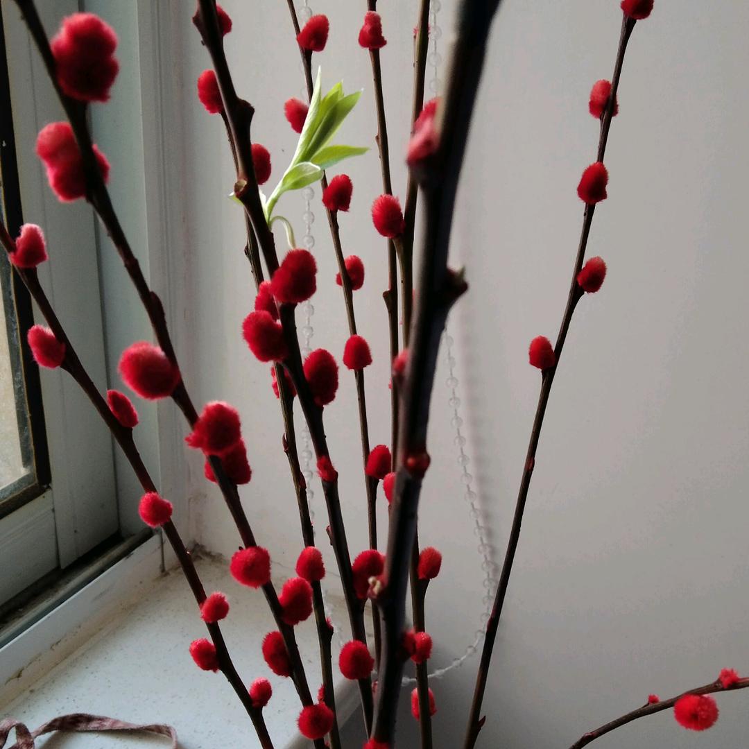 笑口常开😺😺