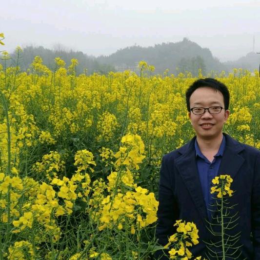 孙权