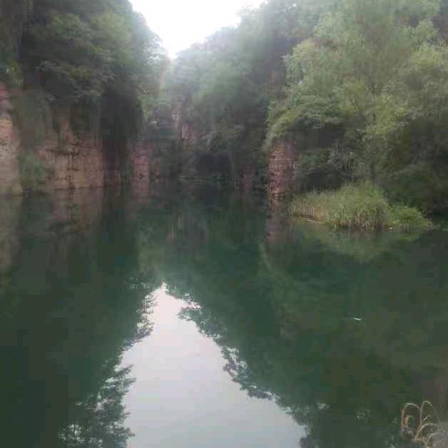 草原野狼