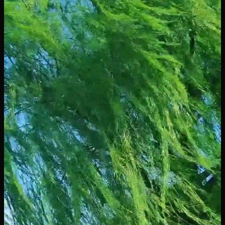 @感恩遇见