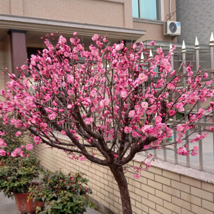 用户7346446428195开心每一天