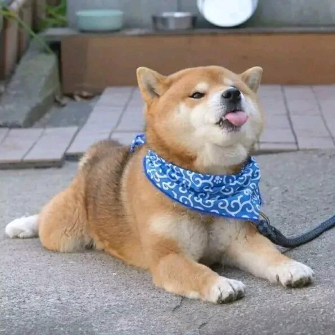 未必⛰