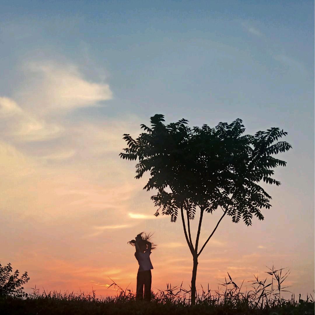 朝花夕拾