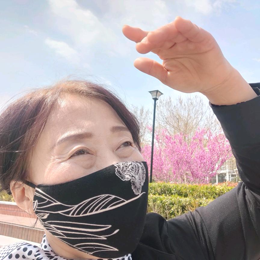 珠珠