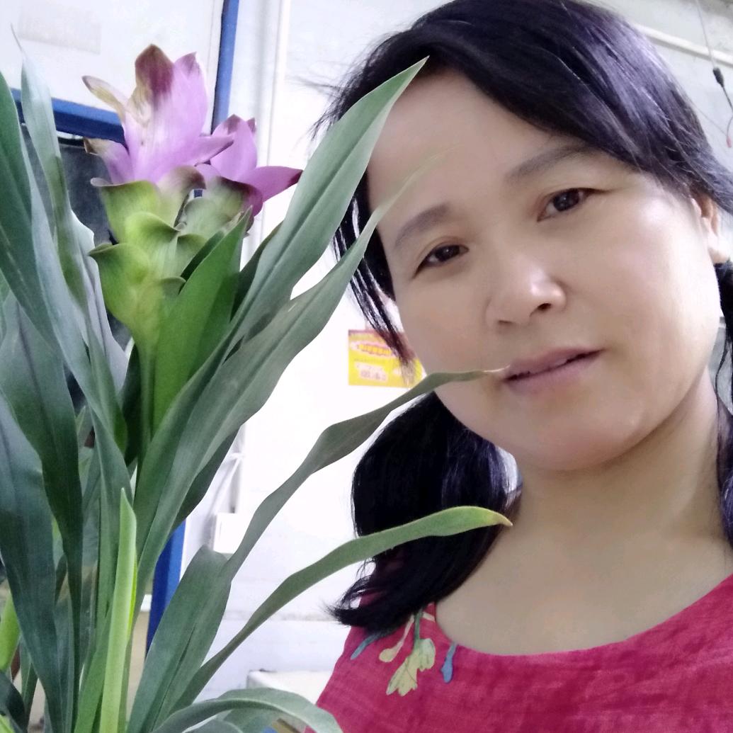 乐心乐意
