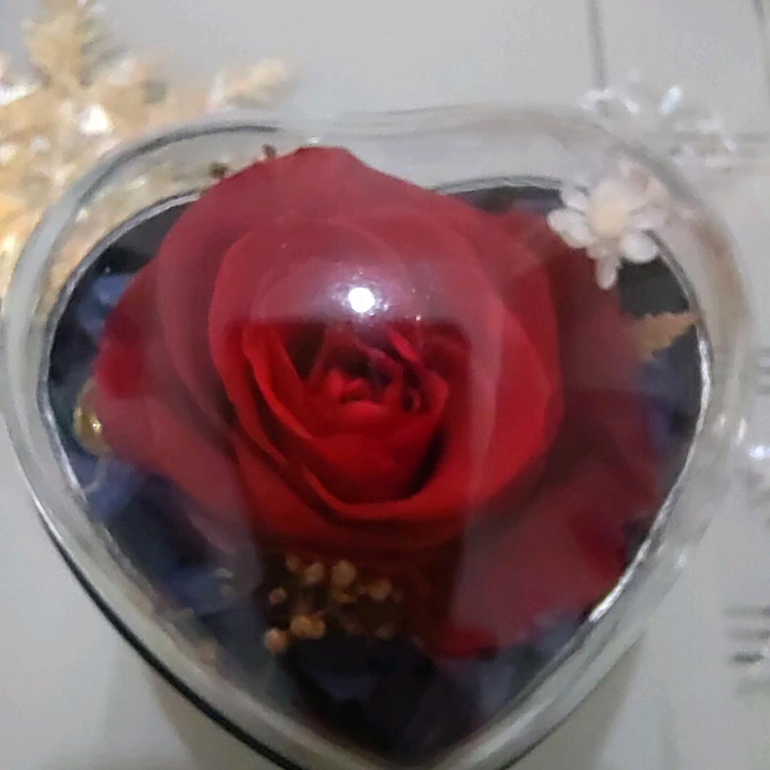 一生平安🌹🌹