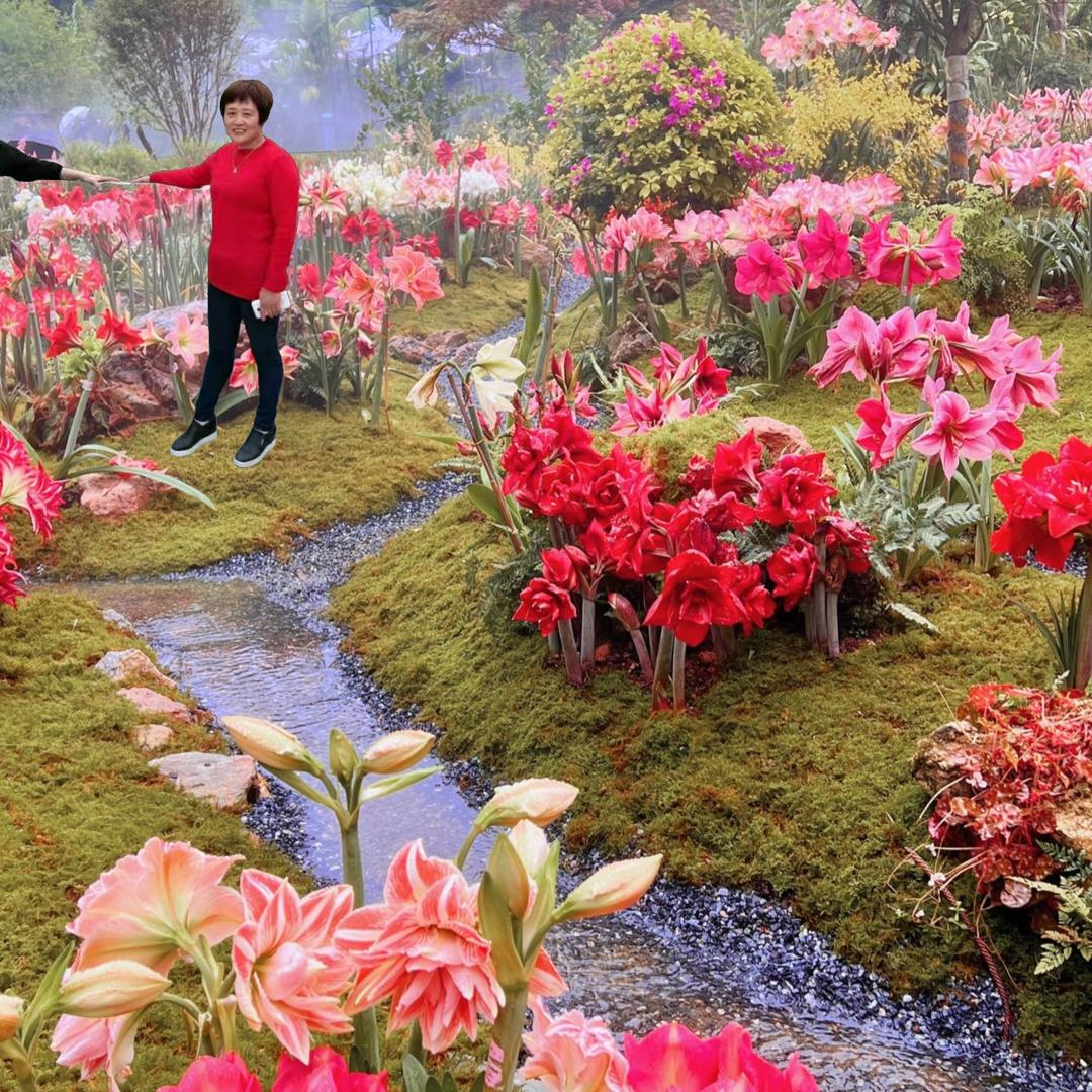 一生幸福