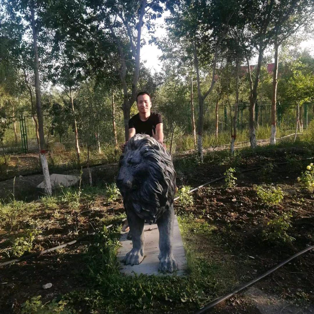 我是一个小草