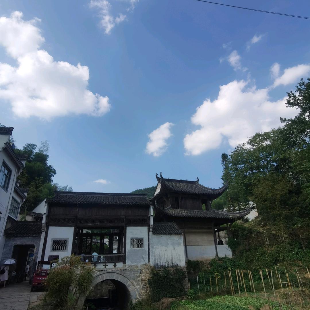 悟空