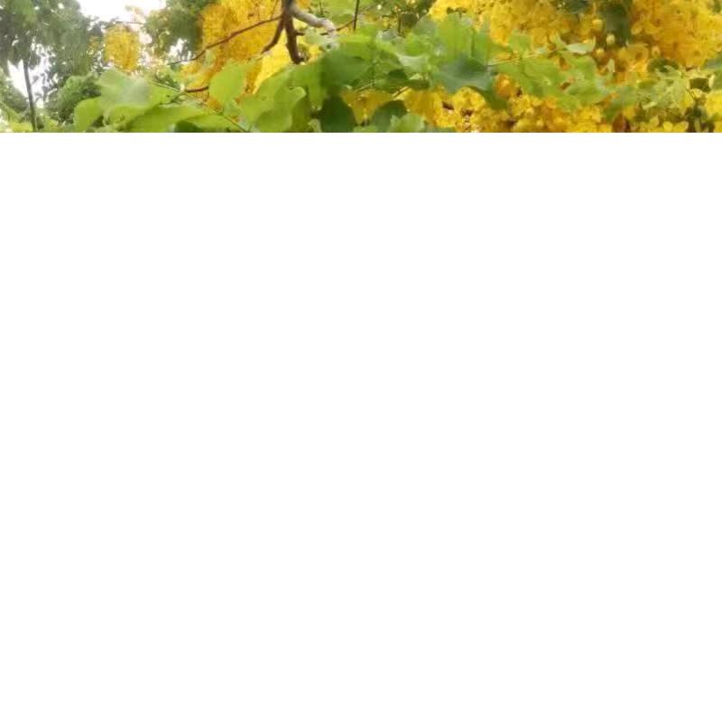 不够好8185寻找快点