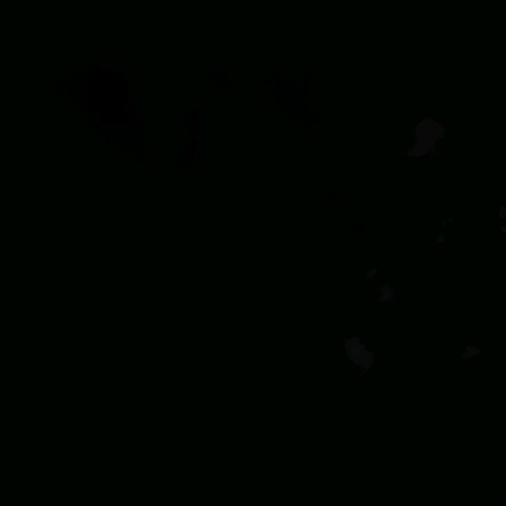挚爱