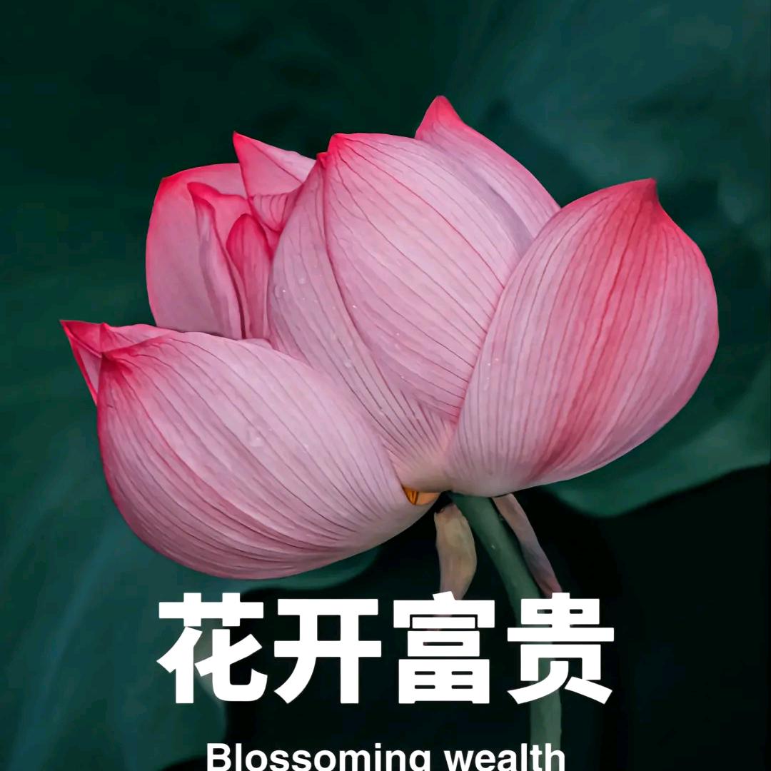 施