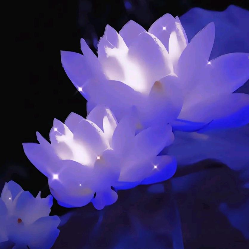 花之韵鲜花长春路店