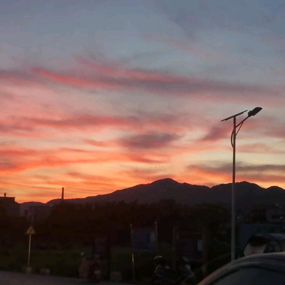 夏姐
