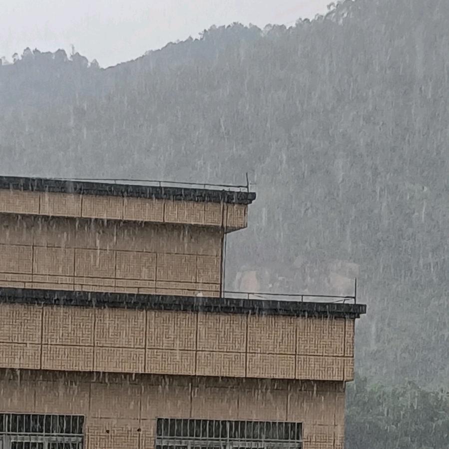 敏而行