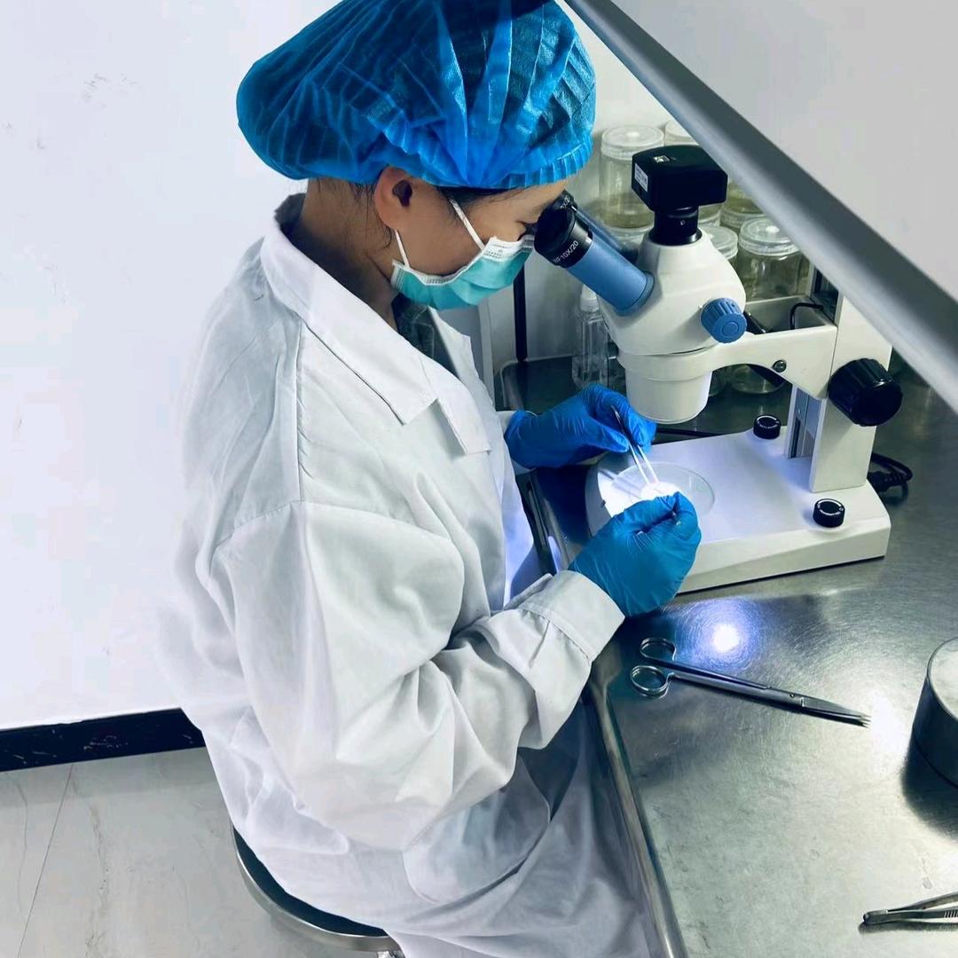 金沙河红薯岭