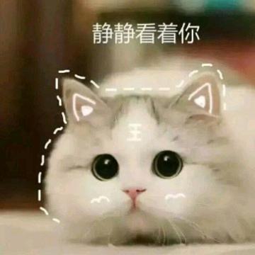 风中凌乱的短发