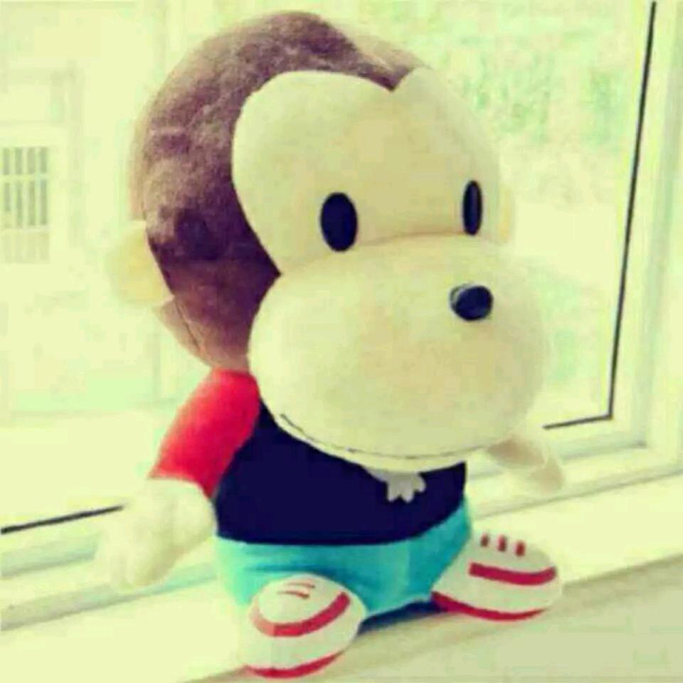 ↹时光里的路人↹